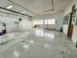 Ubiplex 1 (D14), Factory #557606401